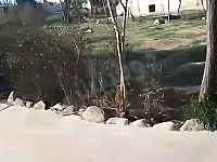 للبيع 4 دنم منتزه طريق مطار ج5حتيتا تركمان سياحي يصلح مطعم 