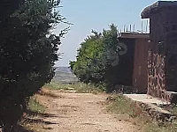 مزرعة خيل ٢٤دلم 