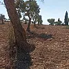 صورة المستخدم