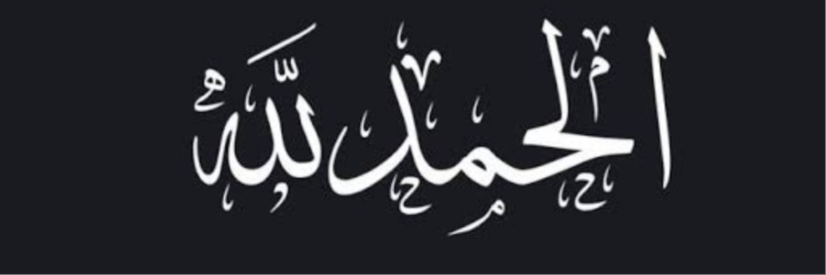 سامر أرناؤوط Cover