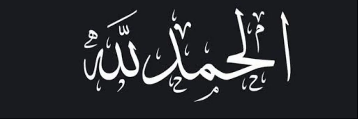 سامر أرناؤوط Cover
