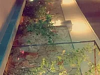 مزرعة للايجار اليومي لأصحاب الذوق الرفيع🌟مزرعة الإيمان🌟 