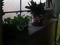 للبيع شقة حي الأمين ١٢٠ م