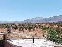 للبيع مزرعة بريف دمشق قطنا ١٠٠٠٠م طابو يوجد فيها ٣٥٠ سجرا مثمرا 