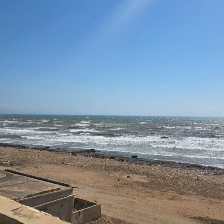بونيتا بونيتا