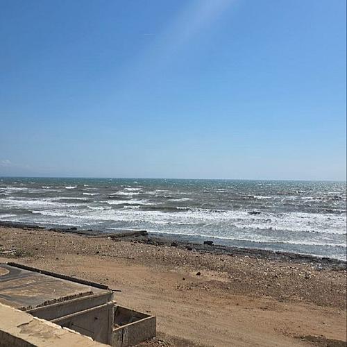 بونيتا بونيتا