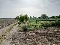 أرض زراعية 23000 م² للبيع في دوما قرب التنظيم الصناعي