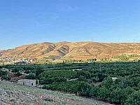 أرض طابو أخضر (بالزبداني/التكية) موقع رائع أطلالة جميلة وقابلة للعمار