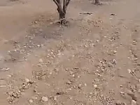 للبيع ارض زراعية  بمدينة حماة. 