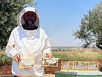 عسل طبيعي مكفول مصفى لمرضى السكري  في ريف حلب الغربي منطقة الأتارب
