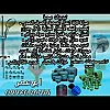 صورة المستخدم