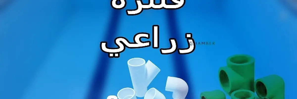 ابو عمر Cover