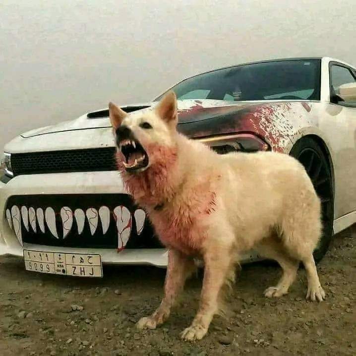 محمد حمزه