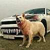 صورة المستخدم