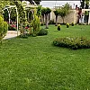 صورة المستخدم