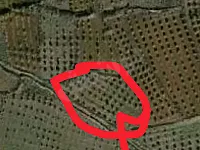 ارض زراعية مساحة 3000م مزروعة زيتون عمر 17سنة 