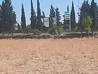 للبيع ارض طريق لمطار دمشق جسر 4 مساحة10دنم طابو سعر دنم 200الف $