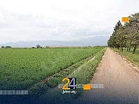 للبيع أرض مساحة ١٠ دنم في صحنايا كروم الزيتون