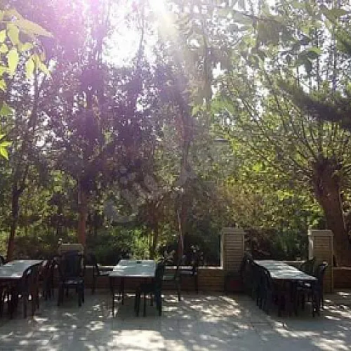 Commercial Land 6000m² – photo 7