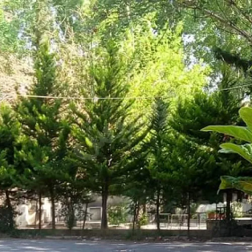 Commercial Land 6000m² – photo 10