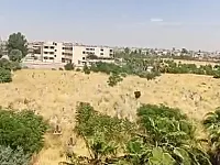 الاسنصير موجود في البناء قيد الصيانة 