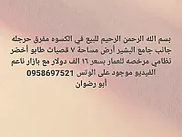أرض للبيع 