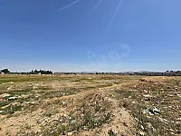 أرض زراعية للبيع في دمشق - طريق المطار - 11 دنم 
