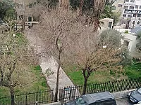 فيلة للبيع كامله 