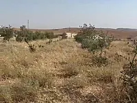 أرض زراعية للبيع في التل ارض الضيعة، ريف دمشق، 1580 م² طابو أخضر
