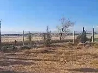 مزرعة بريف دمشق بلغزلانية طابو ٢٠٠٠م معا بير وسجر زيتون ومسورا 