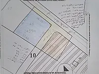 محضر للبيع لا يحتاج للافراز