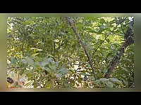 ارض سياحية بزبدين جنب مجمع الإنكليزي مساحة دنم 