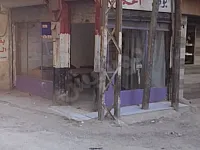 للبيع محل تجاري في صحنايا منطقه الباردة