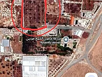 أرض زراعية 2500 م² بأشجار الزيتون في حماة للبيع طابو 2400