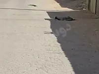 للبيع ارض ريف دمشق لمليحة جنب سكن ولخدمة كاملا طابو اخضر 