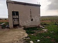  للبيع في المخرم، حمص مدجنة مع ارض زيتون -8000 م² طابو نظامي