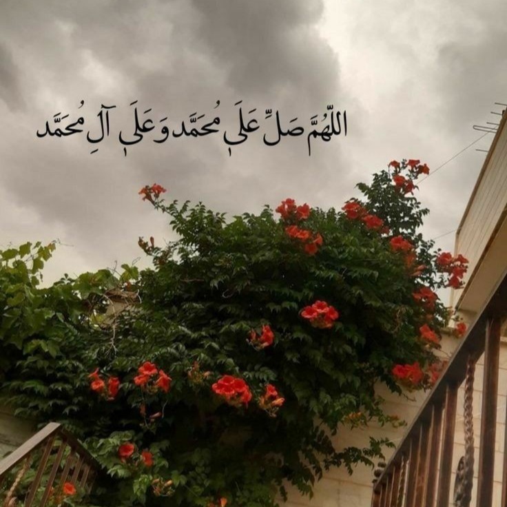 ديمة عماد رشراش