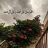 صورة المستخدم