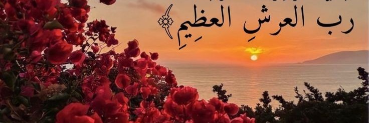 ديمة عماد رشراش Cover