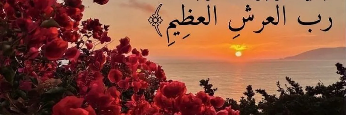 ديمة عماد رشراش Cover
