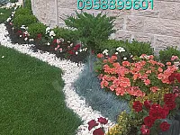 تنسيق حدائق خدمات زراعية 