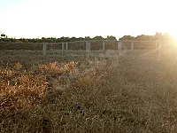 أرض سكنية للبيع في خان أرنبة - 1285 م² - الطابو نظامي
