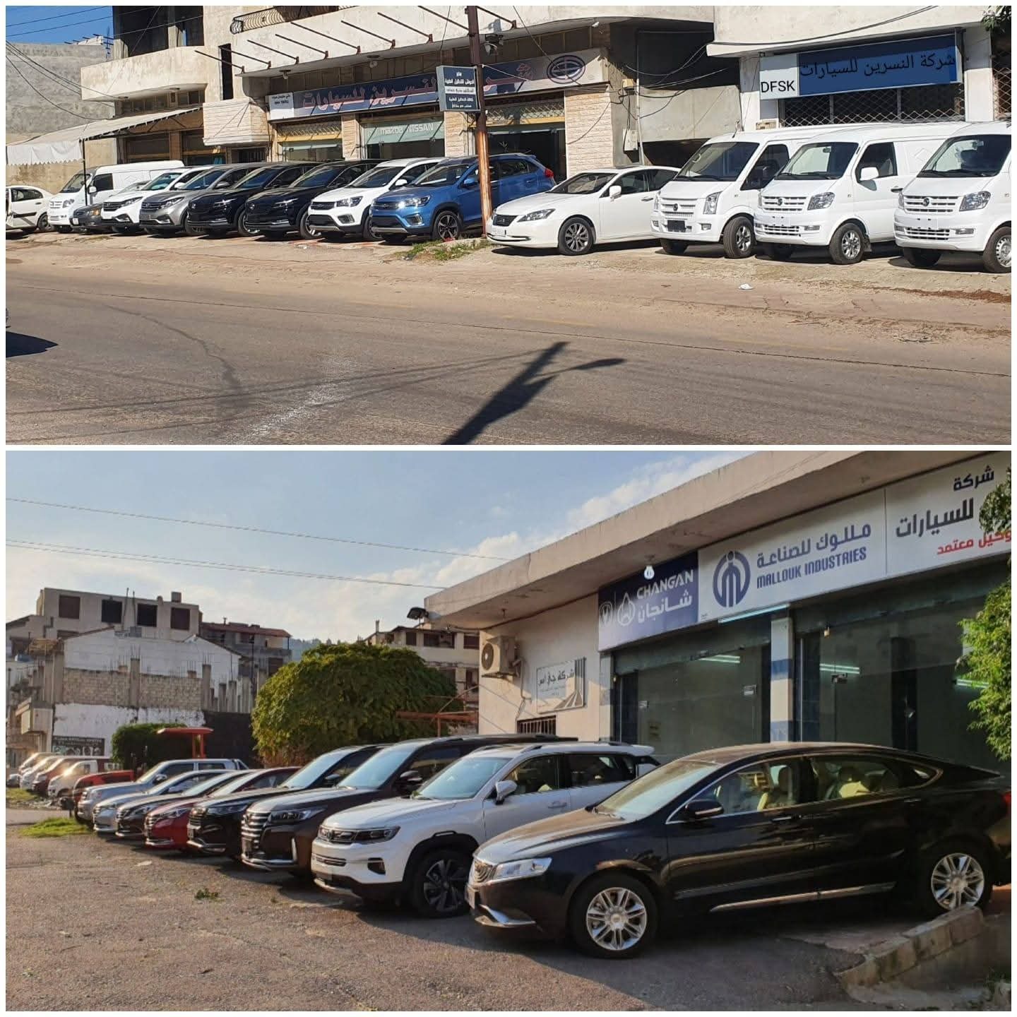 داني سليمان سردا