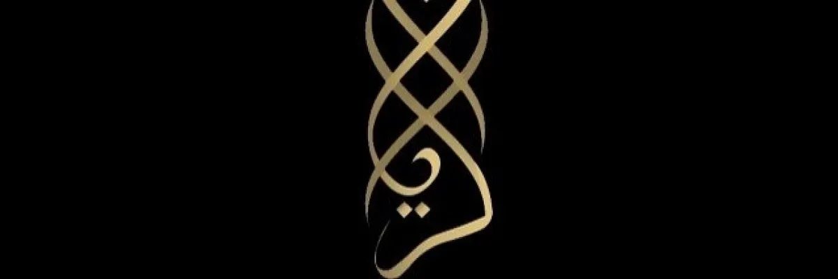 Zein suliman Cover