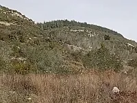 أرض زراعية للبيع في الشيخ بدر - 10 دونم و200 متر