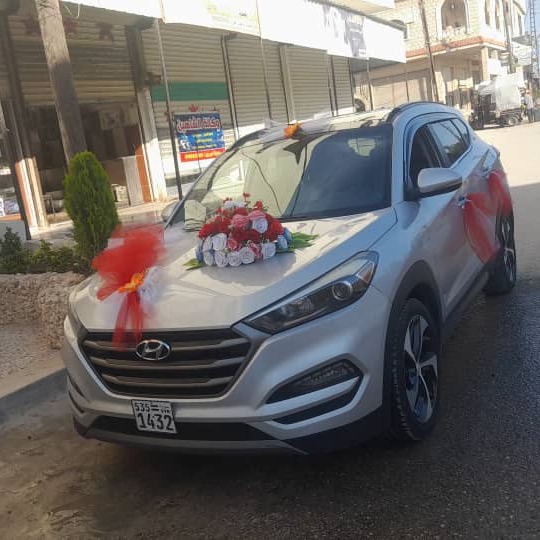 طه محمود الشعار