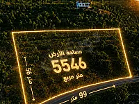 أرض سياحية 5546م² للبيع في دريكيش بسعر مغري