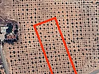 للبيع أرض زراعية في شنشار - حمص 5000 م²