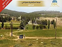 العرض رقم 125-ارض للبيع في ميسلون ،ريف دمشق ،فرصة استثمارية