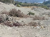 أرض سياحية للبيع على البحر في أم الطيور - 2800 م²